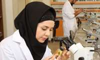 Obtaining Authorization to Admit International Students to the MPH Program