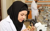 Obtaining Authorization to Admit International Students to the MPH Program